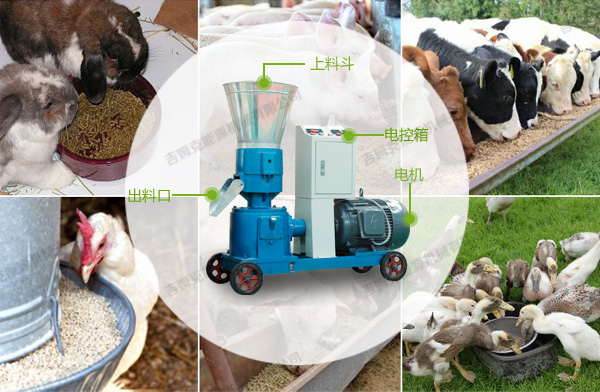 飼料顆粒機 飼料顆粒機